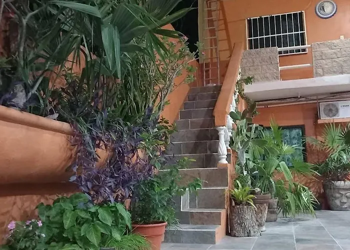 El Ultimo Maya