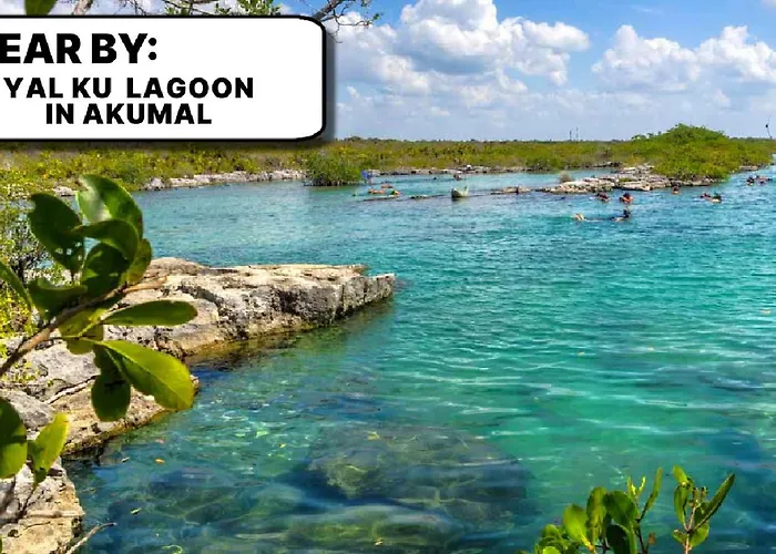 Camp Akumal - Hosted Family Bungalows