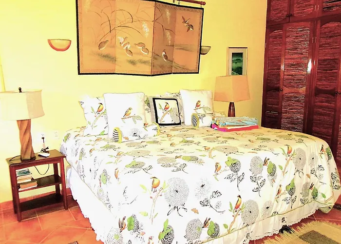 Casa Gatos Suites